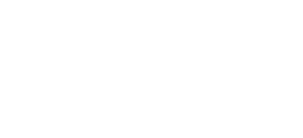 Logo Nordvirk